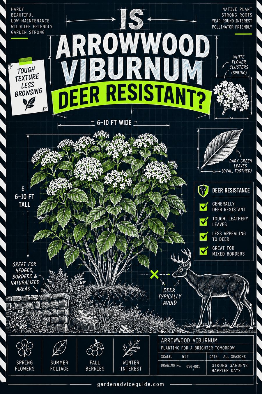 Is Arrowwood Viburnum Deer Resistant?