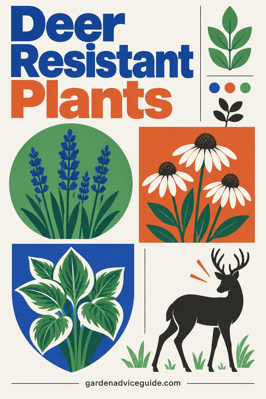 Deer Resistant Plants